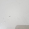 Pulir Suelo Vivienda (Parcial)