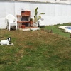 Alicatar / Solar