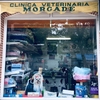 Instalar Toldo Vivienda