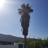 Mantener Jardín