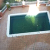 Alicatar Piscina
