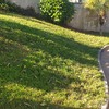 Plantar Cesped
