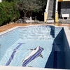 Mantener Jardín
