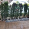 Instalar Rejas