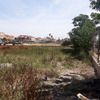 Desbrozar Jardín