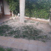 Cesped Artificial