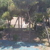 Talar árboles