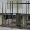 Instalar Cercados de malla o similar
