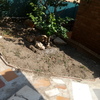 Construir Piscina Obra
