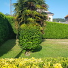 Otros Trabajos De Jardinería