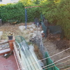 Desbrozar Jardín