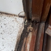 Reparar Carpintería Madera