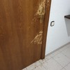 Reparar Carpintería Madera