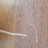 Otros Trabajos De Parquet