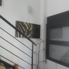 Reforma Vivienda