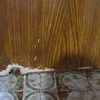 Reparar Carpintería Madera