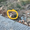 Otros Trabajos De Jardinería
