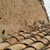 Reforma Integral Tejado Casa (Unifamiliar)