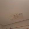 Pintar Interior De Vivienda