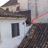 Reforma Vivienda