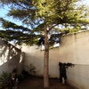 Otros Trabajos De Jardinería