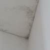 Reforma Vivienda
