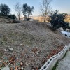 Construir Muro
