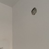 Hacer Trabajos Pladur en Vivienda