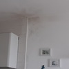 Pintar Interior De Vivienda