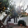 Otros Trabajos De Jardinería