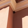 Fumigación o Desinsectación