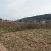 Desbrozar Jardín