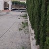 Hacer puesta a punto de jardín