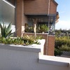 Cortinas Cristal