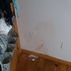 Pintar Interior De Vivienda