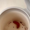 Desinfección