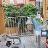 Otros Trabajos De Jardinería