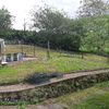 Hacer puesta a punto de jardín