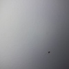 Fumigación o Desinsectación