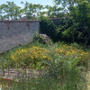 Construir Piscina Obra