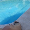 Limpieza puntual de piscina
