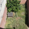 Desbrozar Jardín