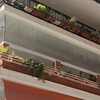 Cortinas Cristal