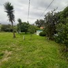 Desbrozar Jardín