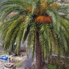 Mantener Jardín