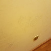 Reforma Vivienda