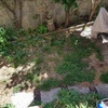 Otros Trabajos De Jardinería