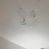 Pintar Interior De Vivienda