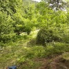 Mantener Jardín