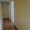 Pintar Interior De Vivienda